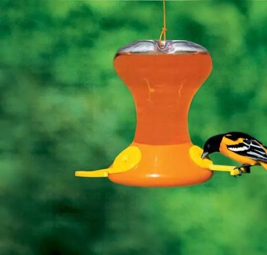 Fliteline Junior 30oz Oriole Feeder