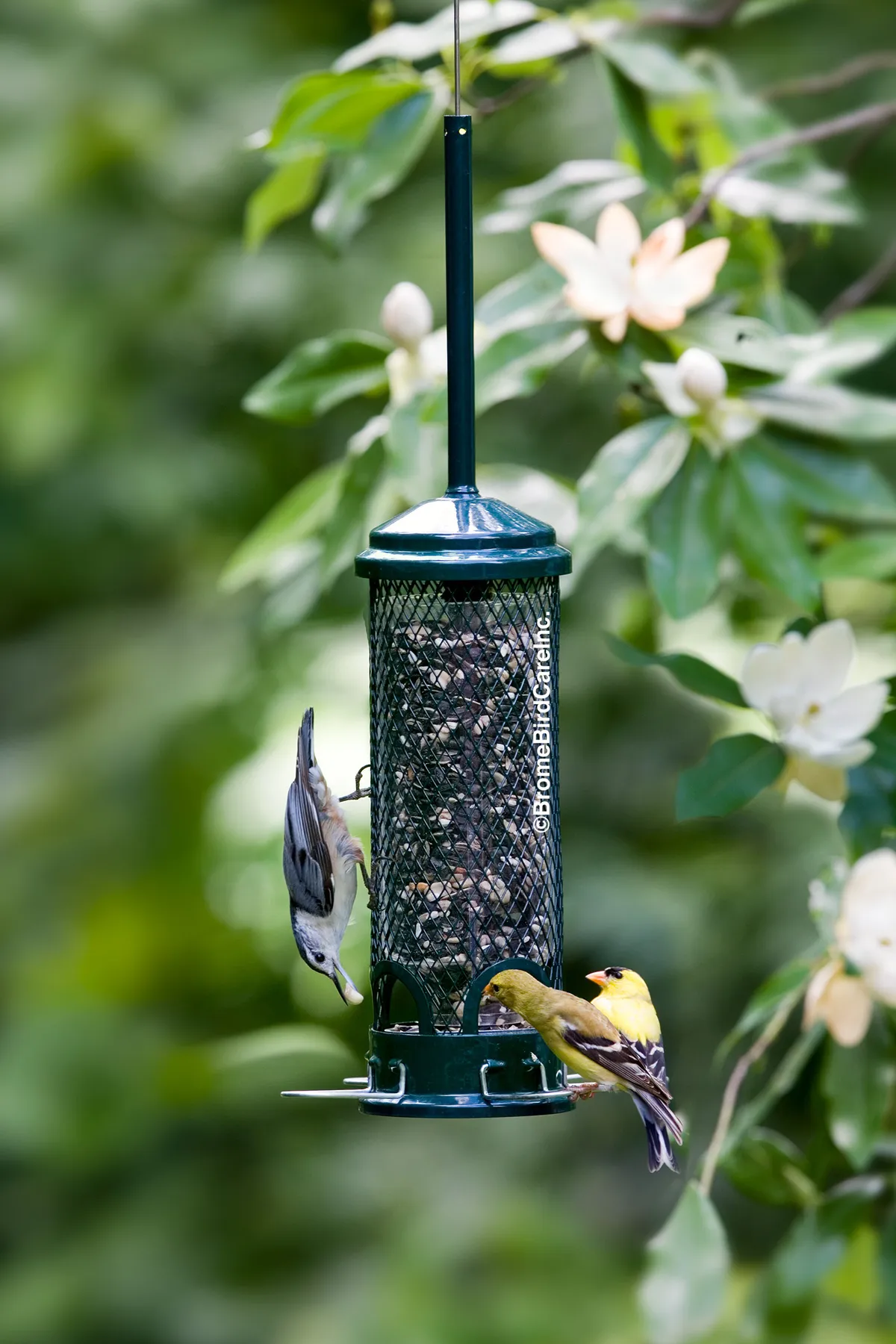 Squirrel Buster Mini - image 2