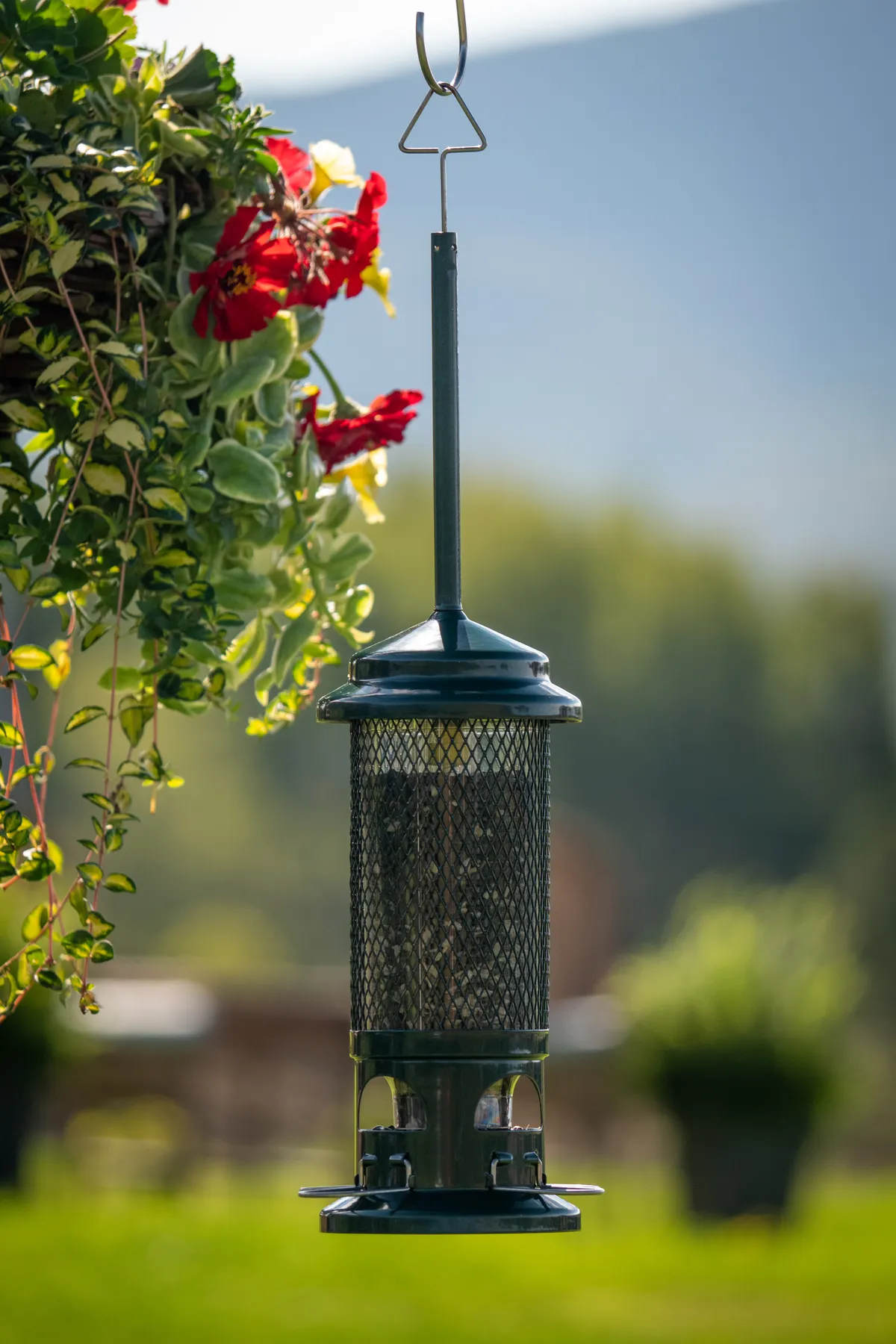 Squirrel Buster Standard