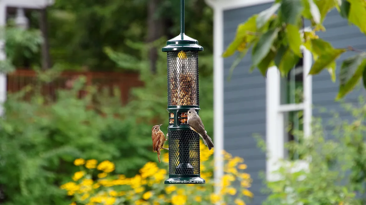 Squirrel Buster Nut Feeder - image 3