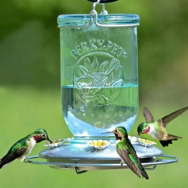 Antique Wide Blue Glass Hummingbird Feeder - image 2