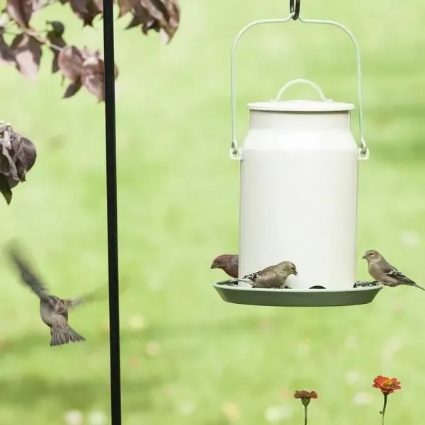 Milk Pail Feeder - image 3