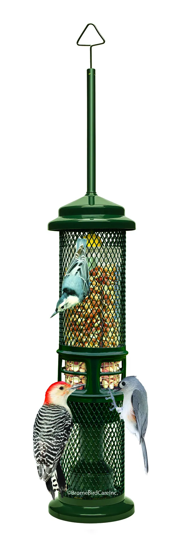 Squirrel Buster Nut Feeder - image 5