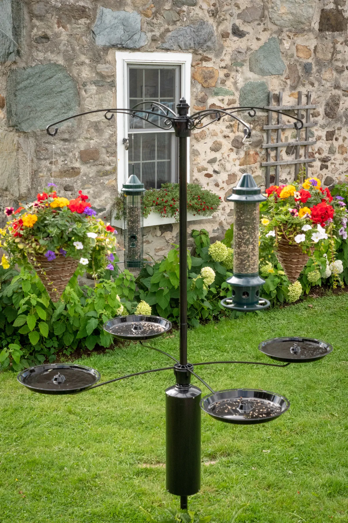 Racoon Buster Tray Kit