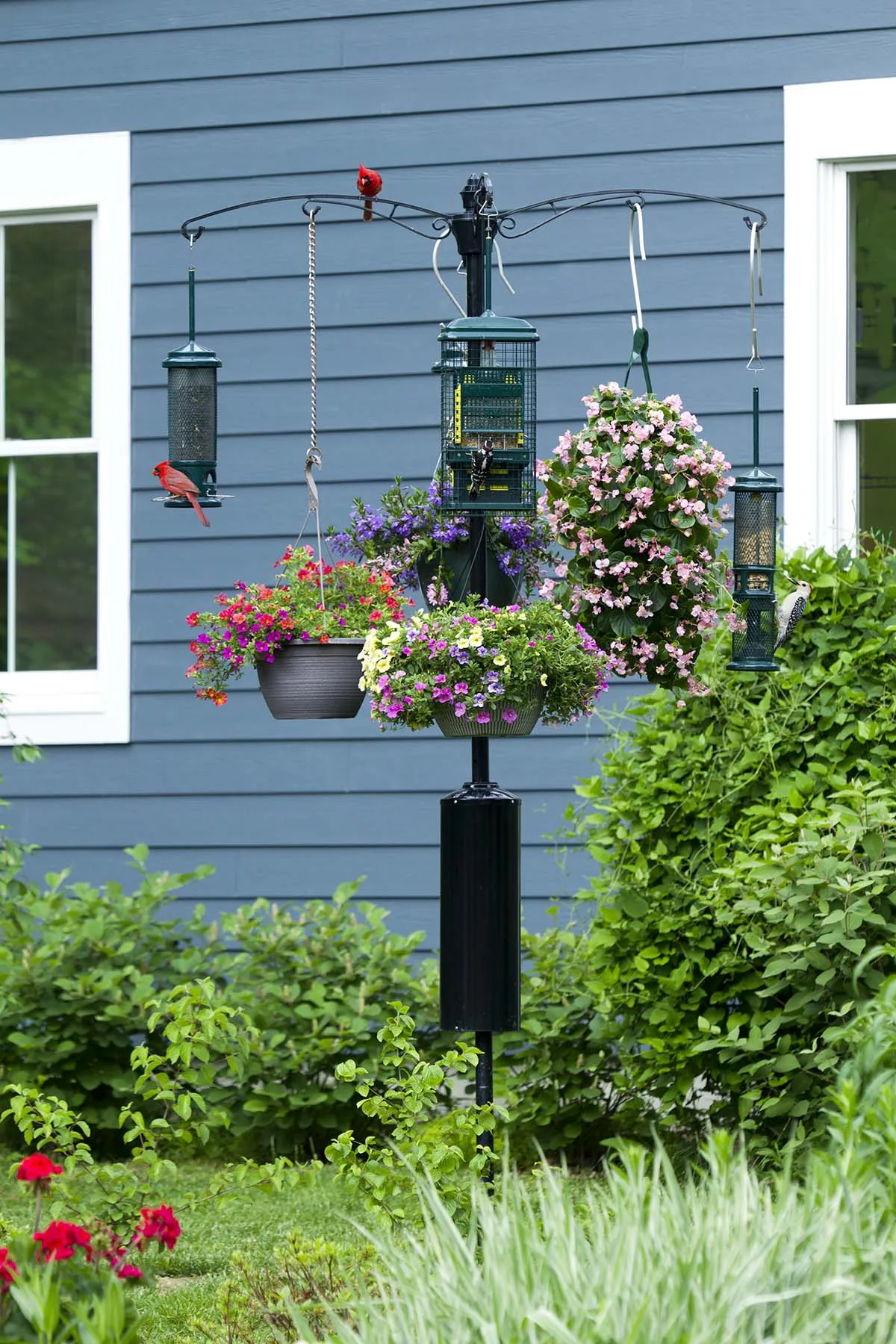 Racoon Buster Guardian Pole - image 3