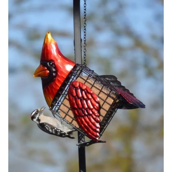 Cardinal Suet Feeder - image 2