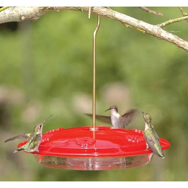 HummZinger Excel 16oz Hanging Feeder - image 2