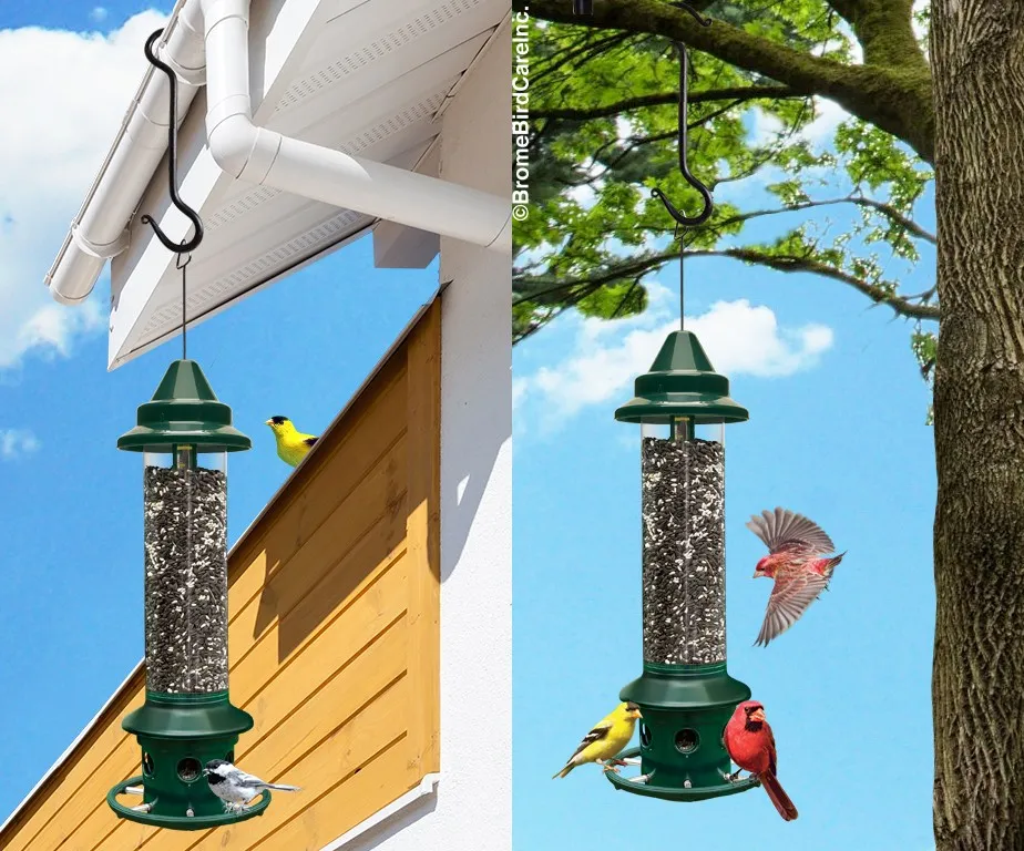 Squirrel Buster Plus - image 3