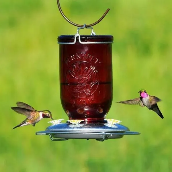 Red Mason Jar Hummingbird Feeder - image 2