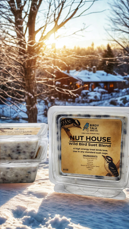 Nut House - Premium Suet with Pecans & Walnuts (8oz)