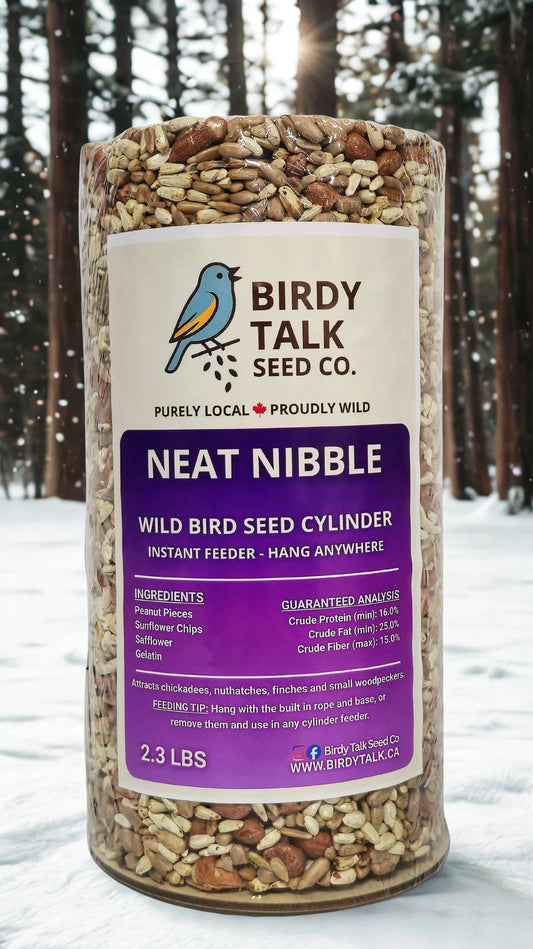 Neat Nibble - Seed Cylinder