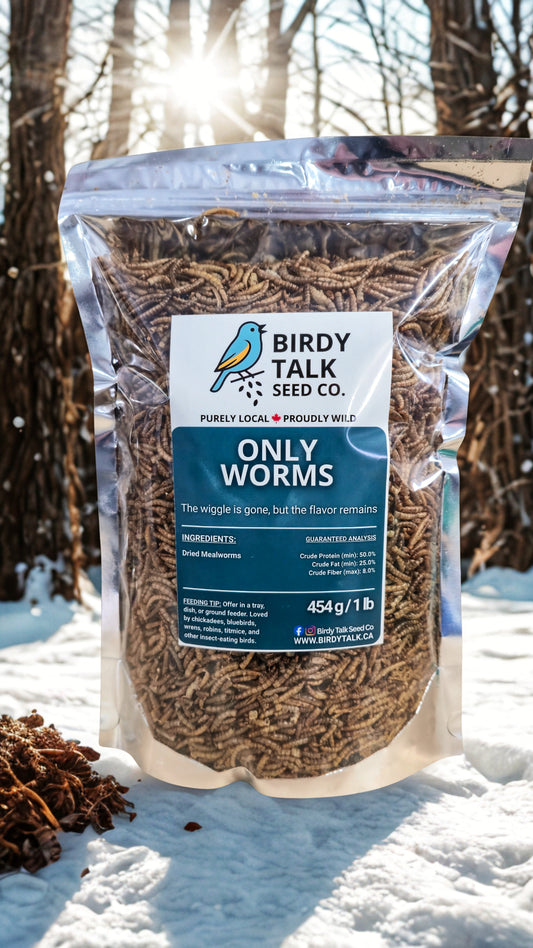 Only Worms - Premium Dried Mealworms