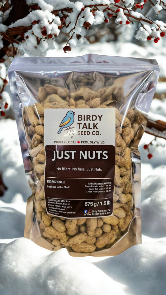 Just Nuts - Whole Peanuts in the Shell